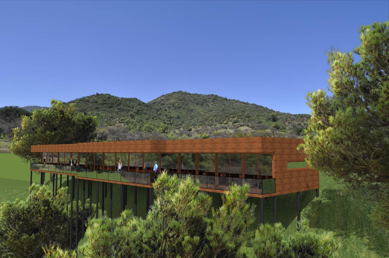 Terreno en Venta en Santa María de Caburgua Pucón — imagen 4