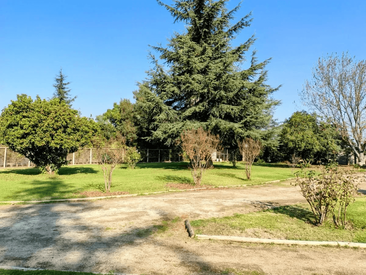 Casa en Venta en Peñaflor — imagen 3