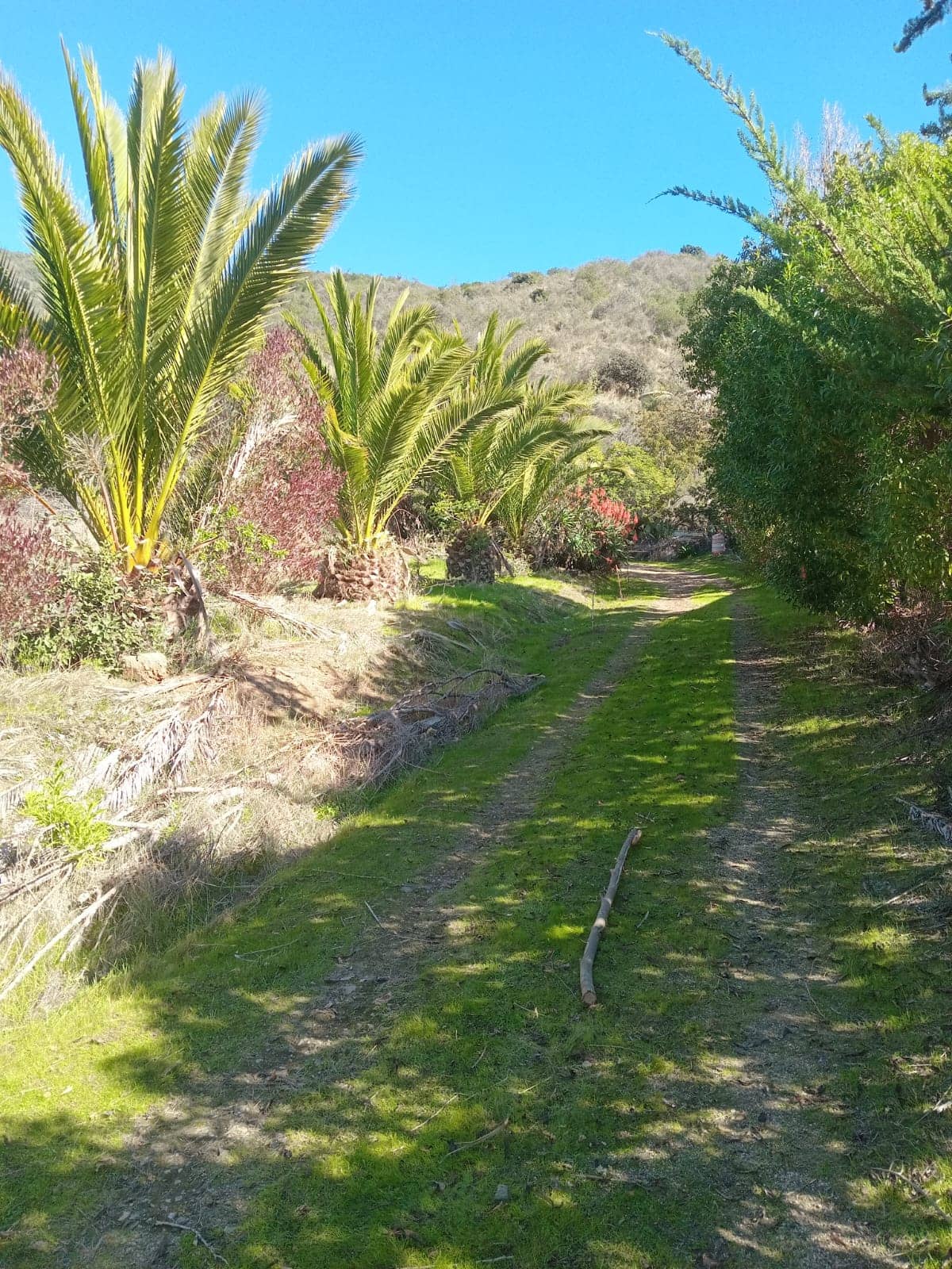 Venta Terreno en Las Piedras, Puchuncaví