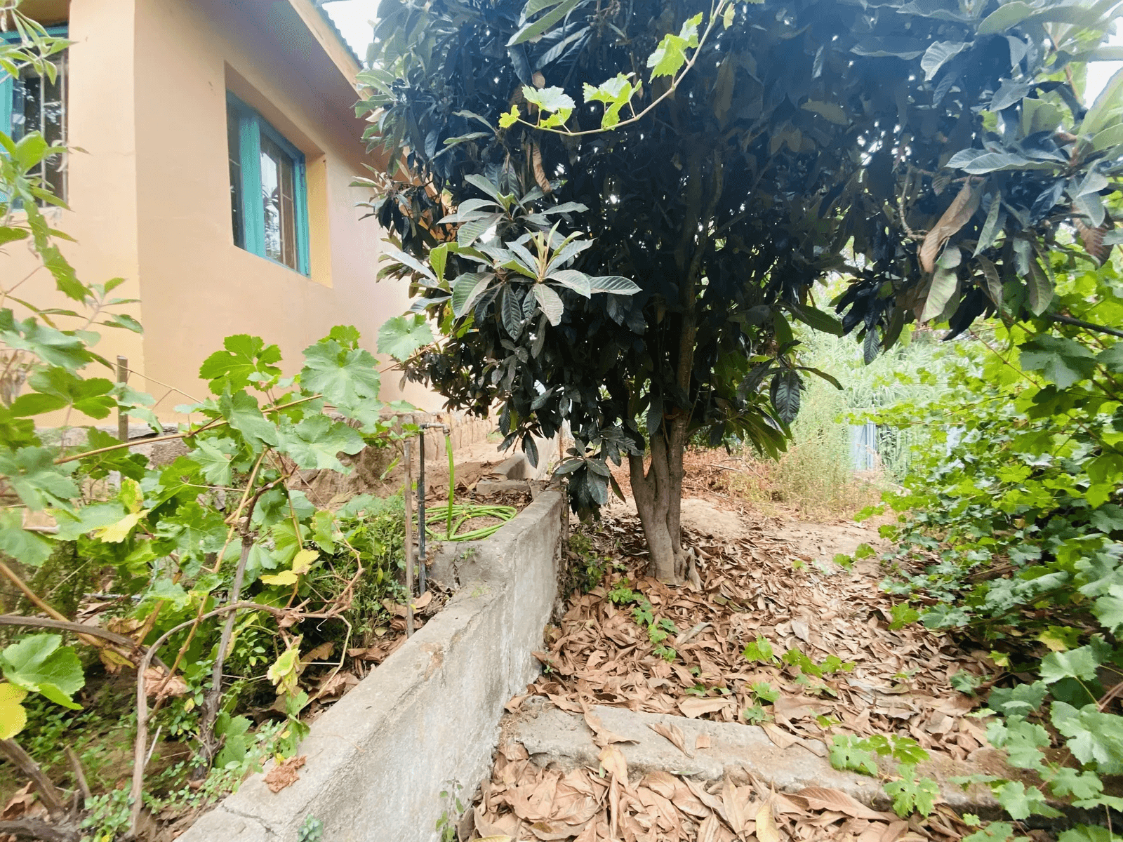 Casa en Venta en Villa Alemana — imagen 4