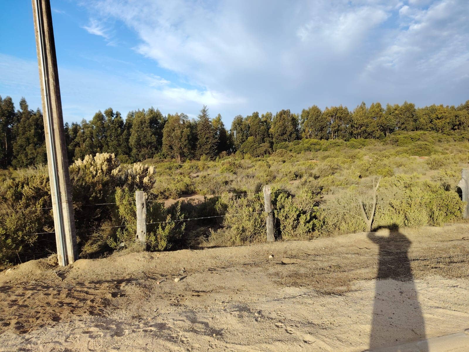 VENTA PARCELA EN HORCON PUCHUNCAVI — imagen 4