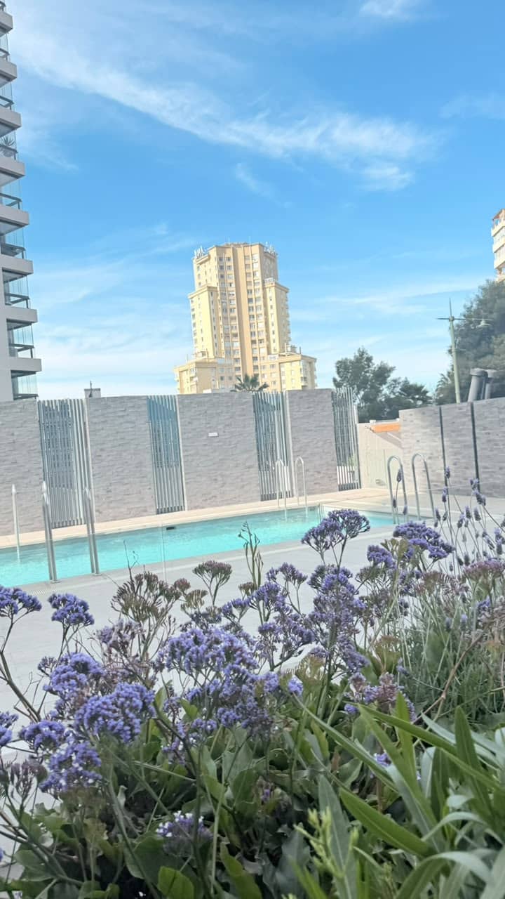 Arriendo Departamento 1d Costa de Montemar — imagen 2