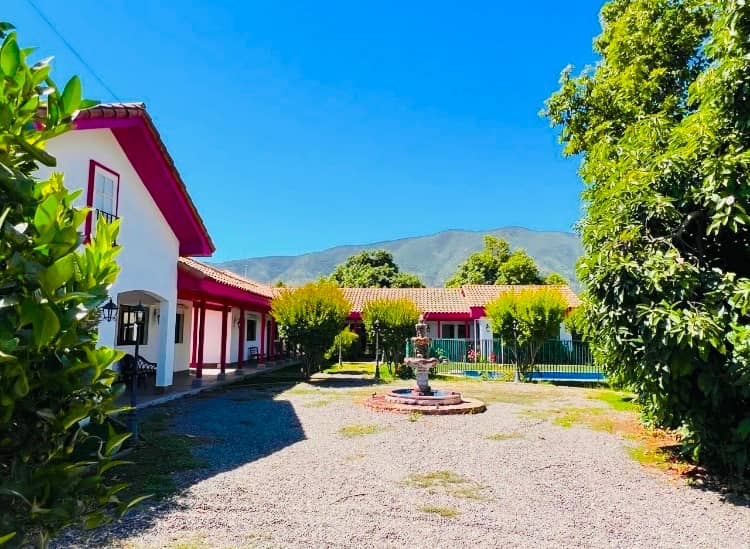 VENTA DE PARCELA OLMUE — imagen 4