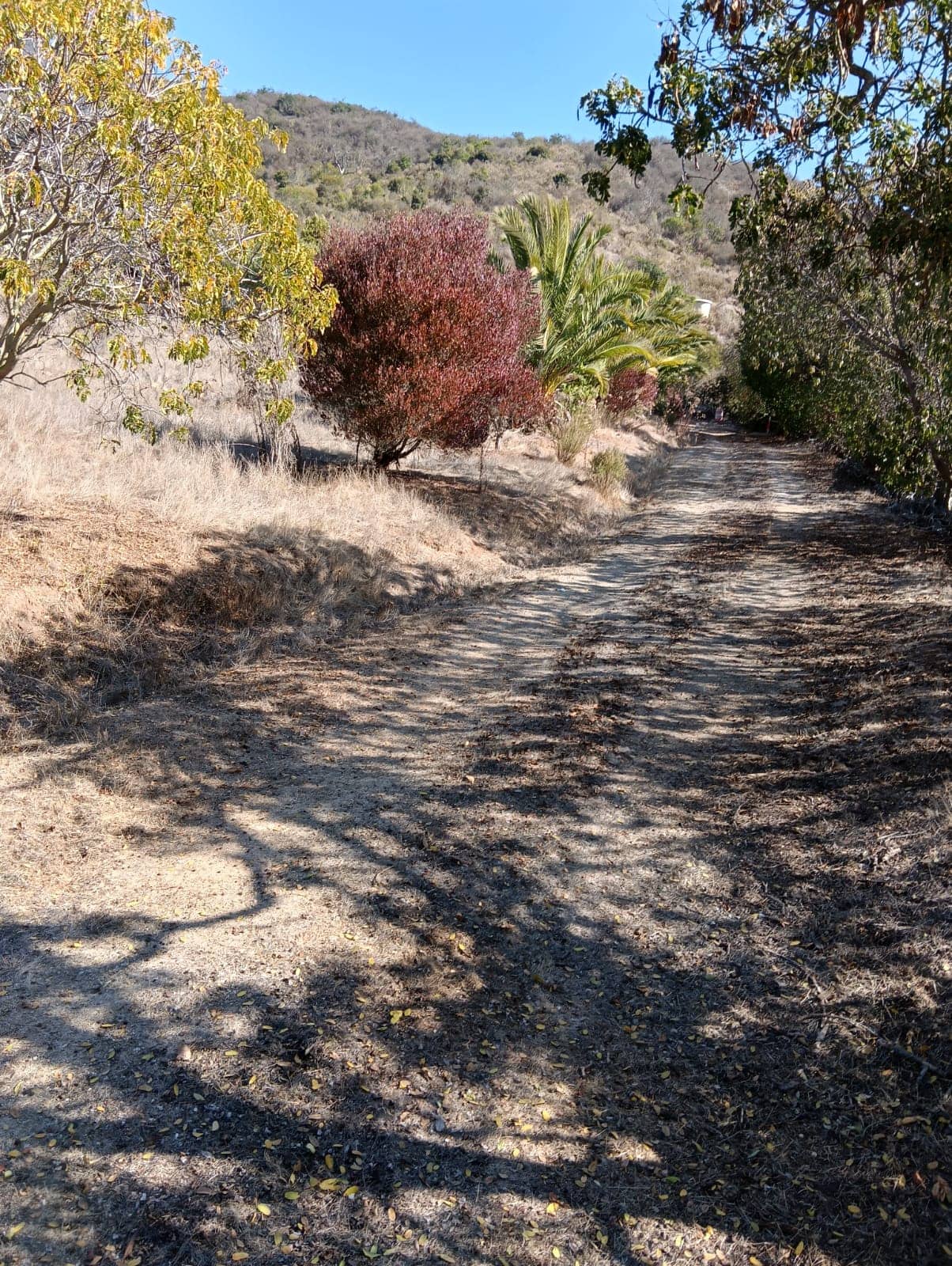 Venta Terreno en Las Piedras, Puchuncaví — imagen 3