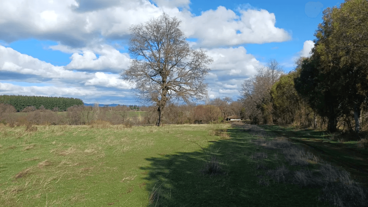 Venta de terreno agrícola con avellano — imagen 2