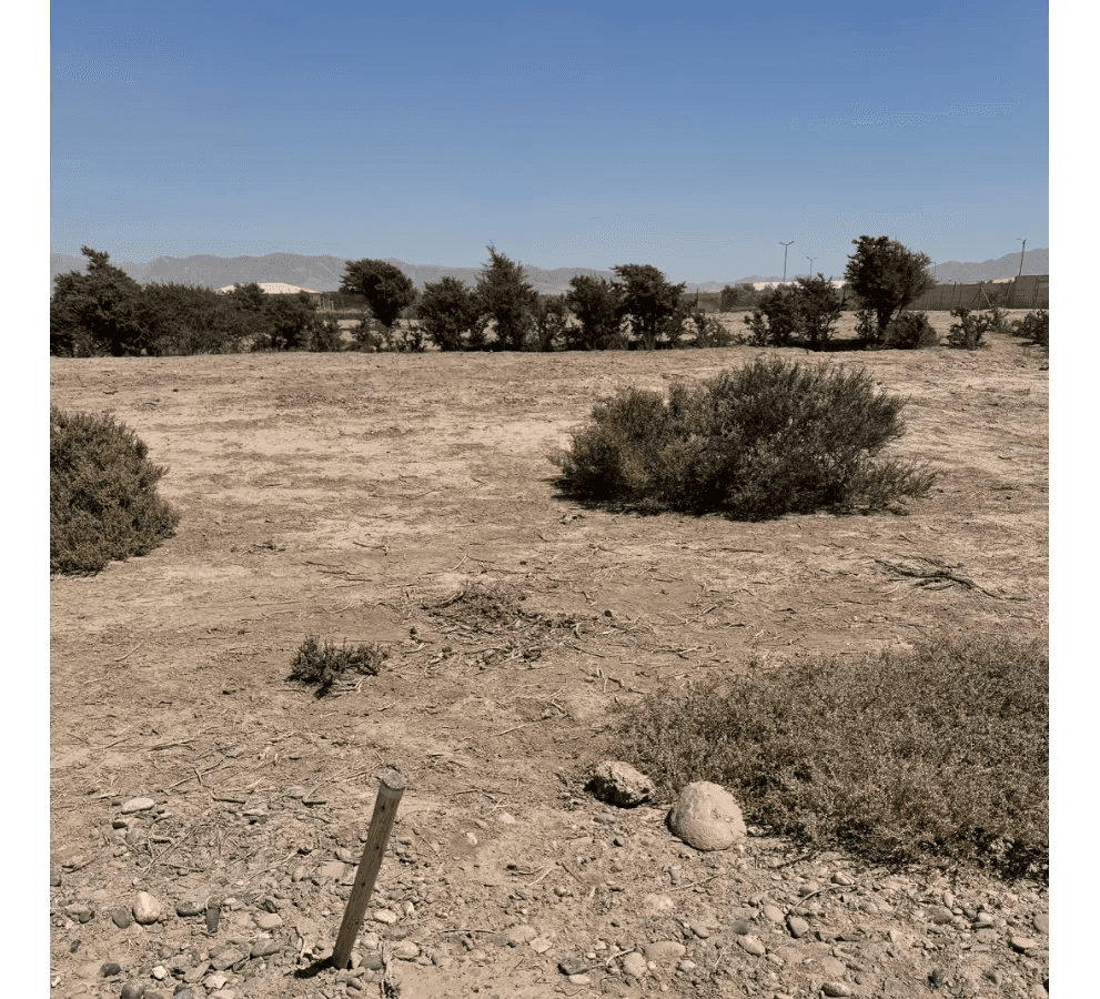 Venta de Terreno en Copiapo - Fundo Valle Fertil — imagen 2