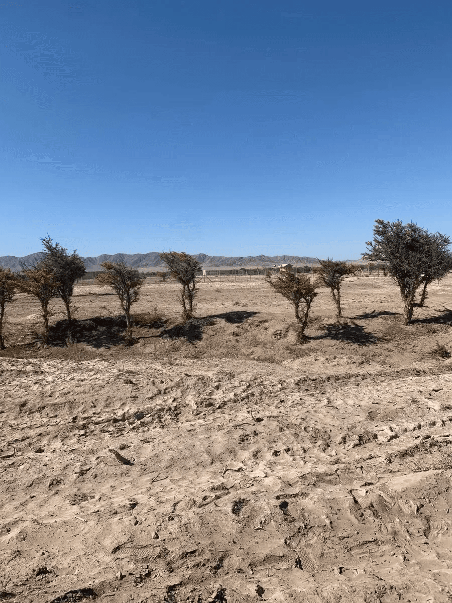 Venta de Terreno en Copiapo - Fundo Valle Fertil — imagen 3
